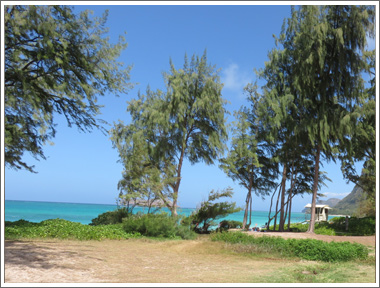 Waimanalo Beach