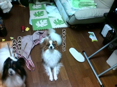 クリックで拡大