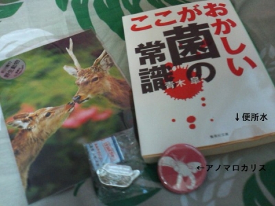 クリックで拡大