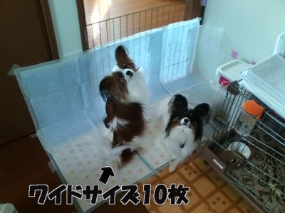 クリックで拡大