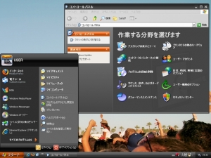 "Zune Style"