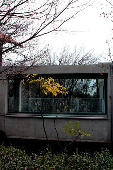 山荘とモダンな建物としなやかな樹と(^_-)-☆