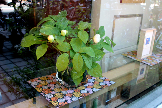上品で魅力ある季節の花 山芍薬