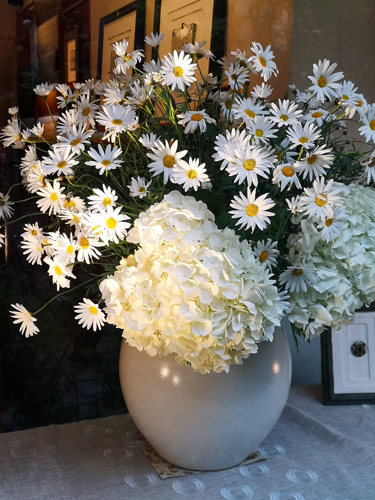 春の花がお出向かえ
