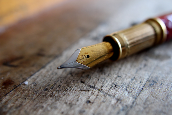 steel nib ミディアムサイズ