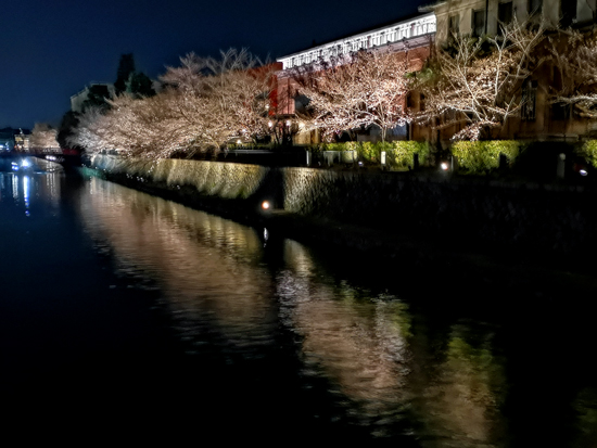 夜桜見物へ