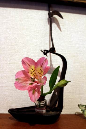 一輪のアリストロメリア