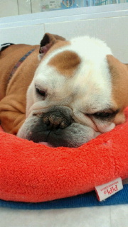 2011041411120001.jpg