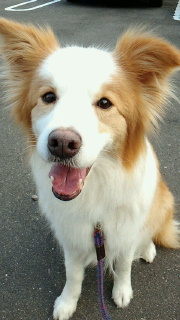 2011052523370000.jpg