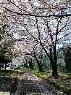 100408_1147~0001.jpg