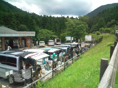 ごろごろ水