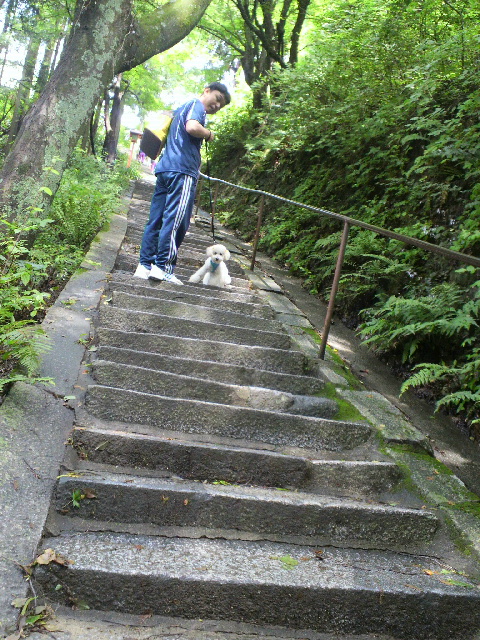 槙尾山
