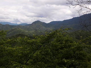 槙尾山
