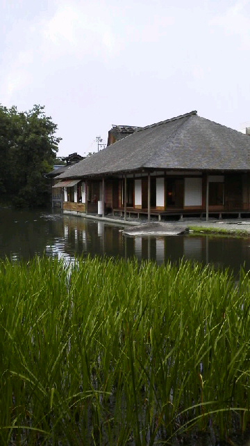 2013073110250000.jpg