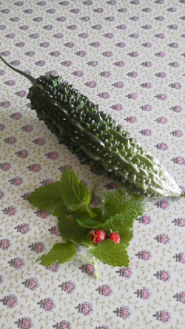 2014061509110000.jpg