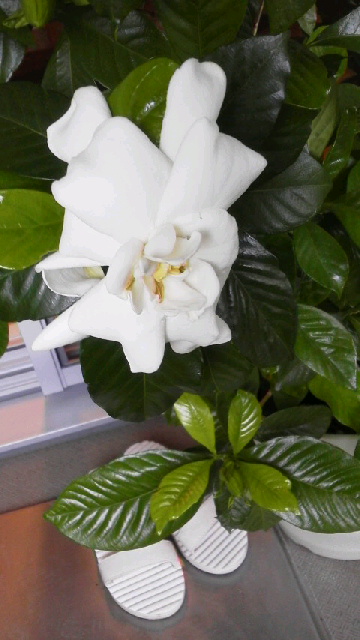 2015060912420000.jpg