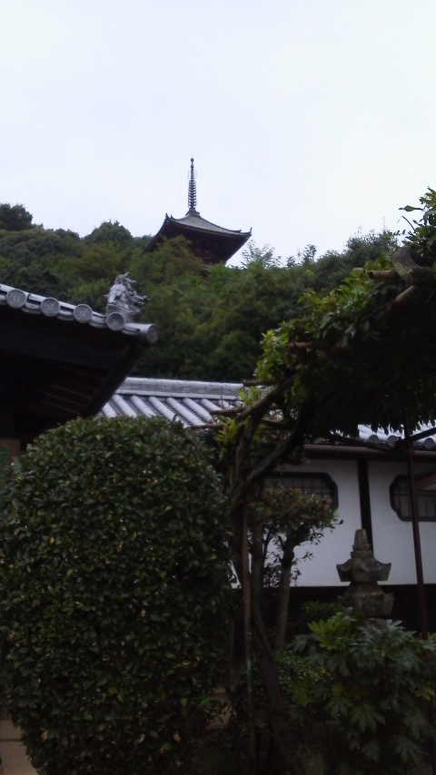 2015090611400000.jpg