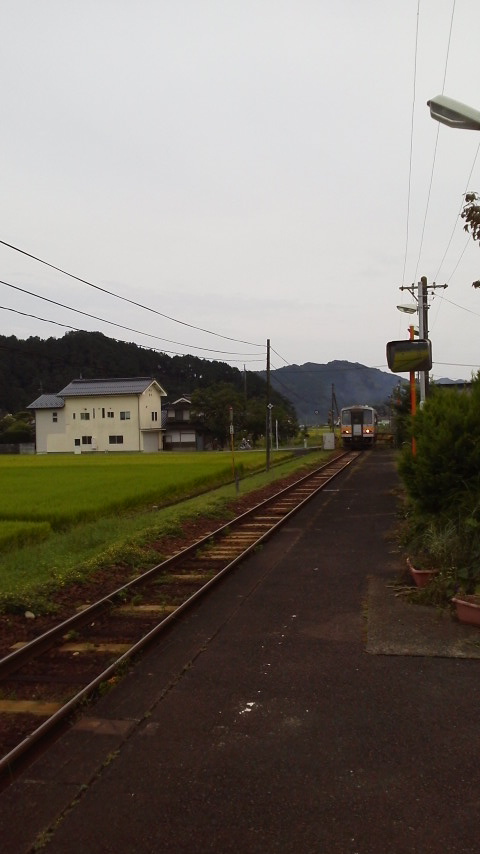 2015090516310000.jpg