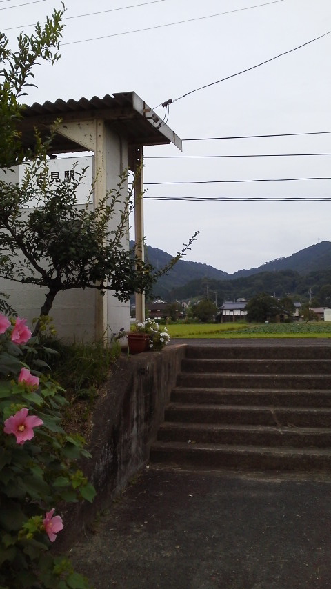 2015090516240000.jpg