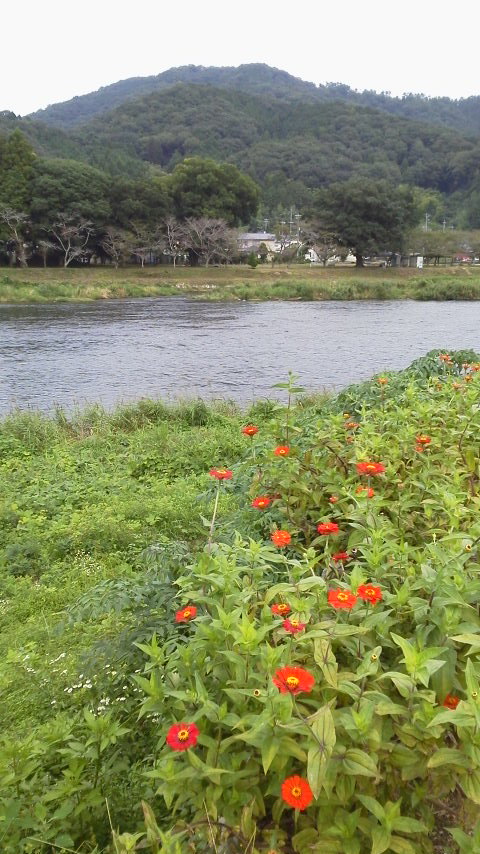 2015090516040000.jpg