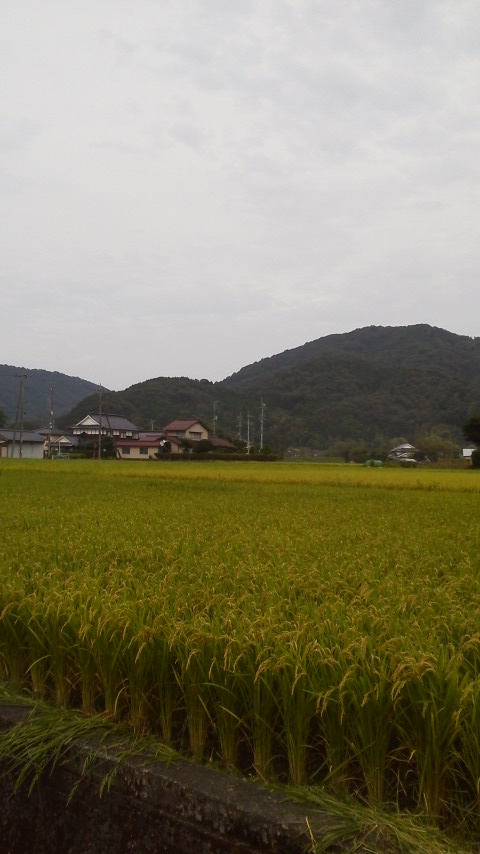 2015090515570000.jpg