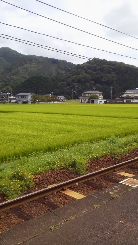 2015090513210001.jpg