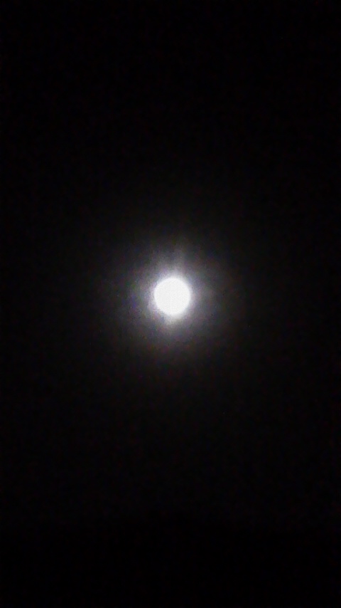 2015092904450001.jpg