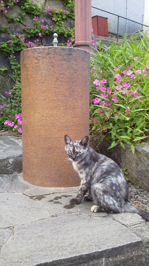 2015100415150000.jpg