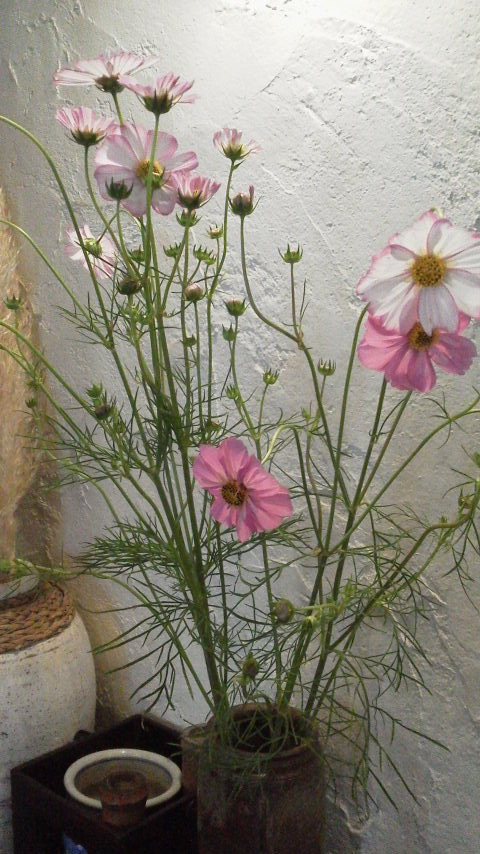 2015100413520000.jpg