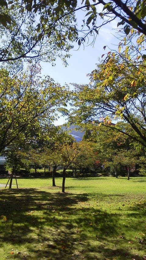 2015100313470001.jpg