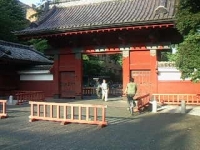 東大