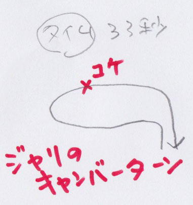 P5.jpg