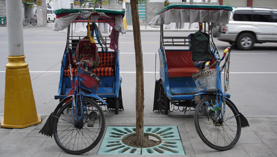 Lhasa riksha