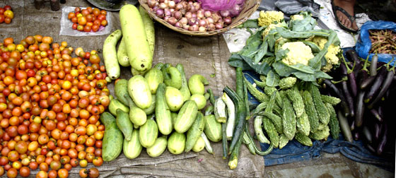 Kathmandu Bazar