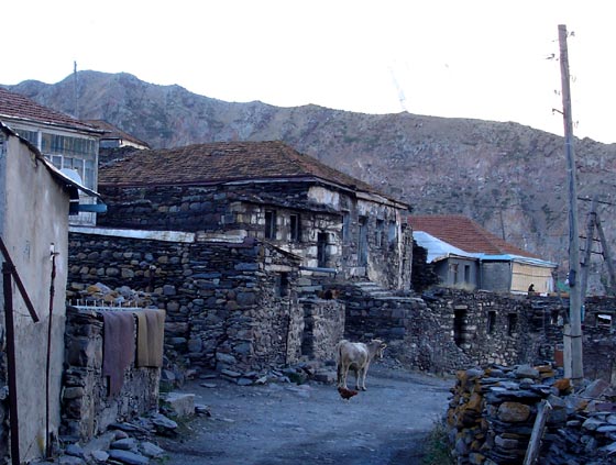 Kazbegi