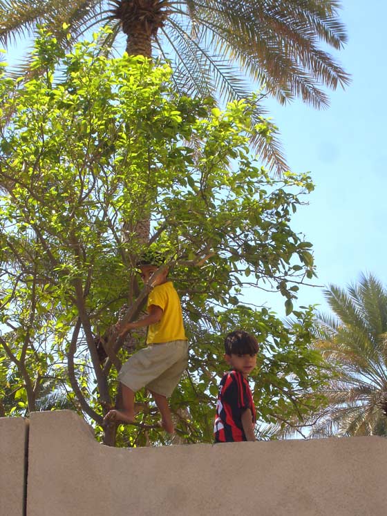 Nizwa Children