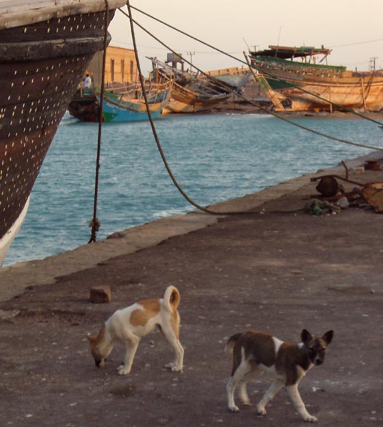 Port Al Makha