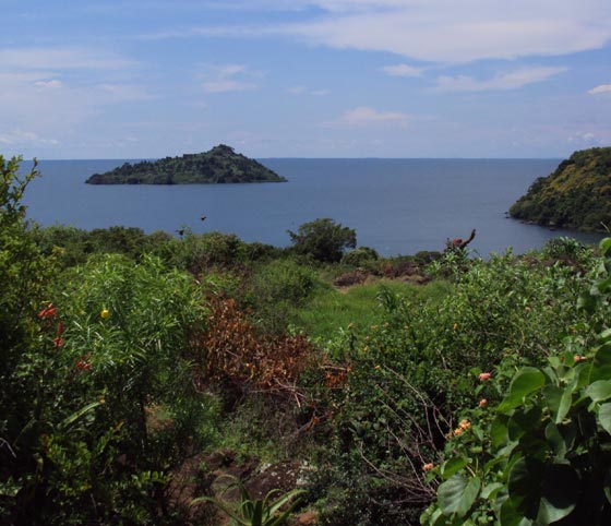 View from Island