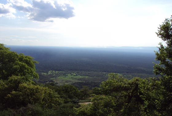 Nice View