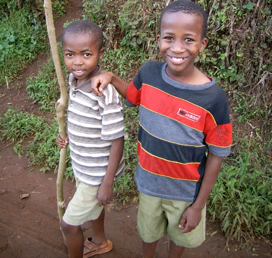 Hiking in Kilimanjaro