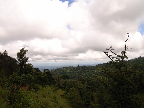 Hiking in Kilimanjaro
