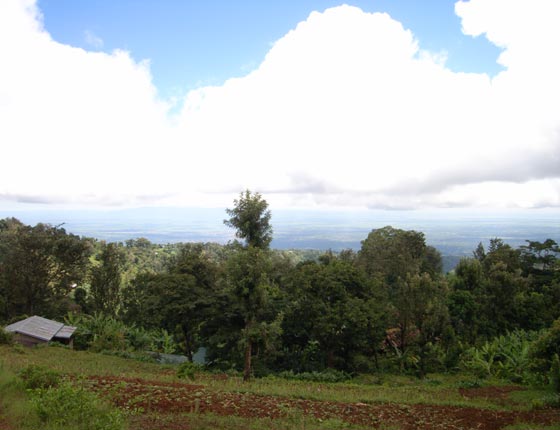 Hiking in Kilimanjaro