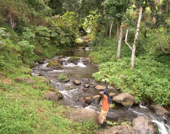 Hiking in Kilimanjaro