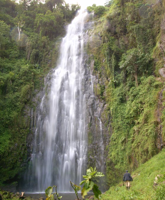 Hiking in Kilimanjaro