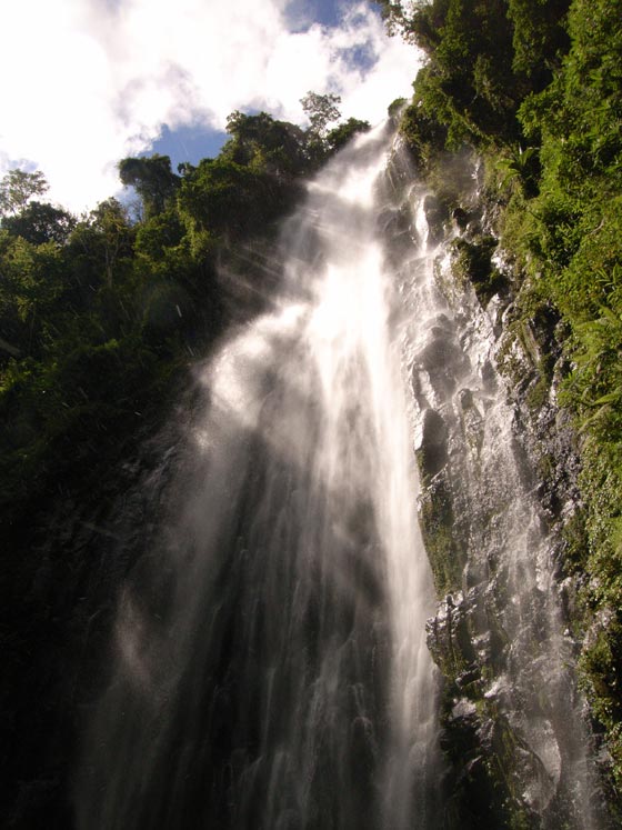 Hiking in Kilimanjaro