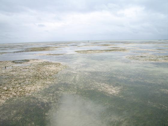 Indian Ocean