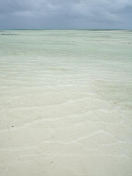 Janbiani