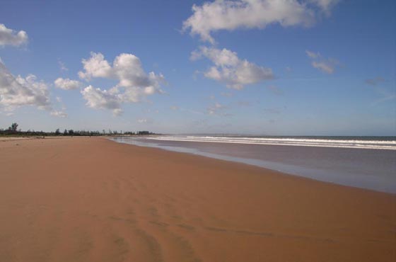Marindi