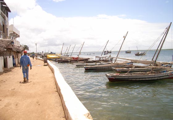 Lamu