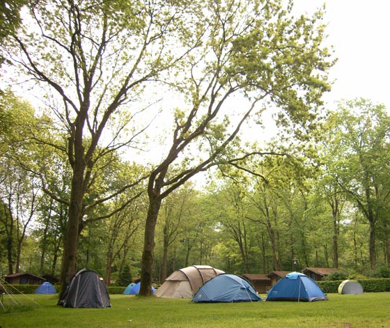 Ams Campsite